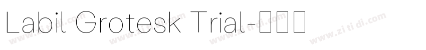 Labil Grotesk Trial字体转换